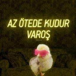 REKLAM YÖNLENDİRME