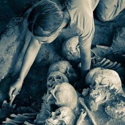 Siyaset Bilimi Kitaplığı